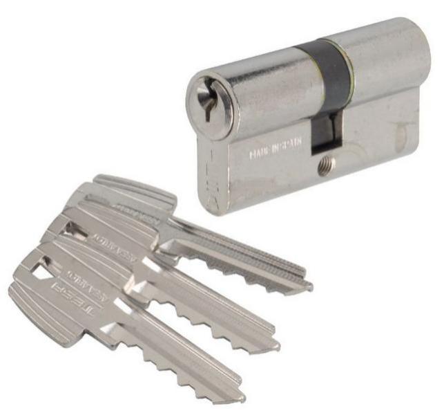 Tesa - Cylindre 2 Entrées Te5 Nickelé Varié 60x30 Mm