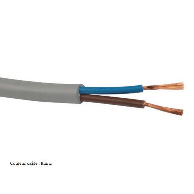 Câble souple domestique H05 VV-F blanc 2 x 0,75 mm² Diam 7,2 mm Electraline 1