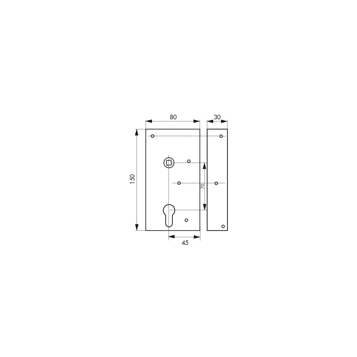 THIRARD - Boitier de serrure en applique double entrée à fouillot pour portail bois, réversible, axe 45mm, 80x150mm, noir 1