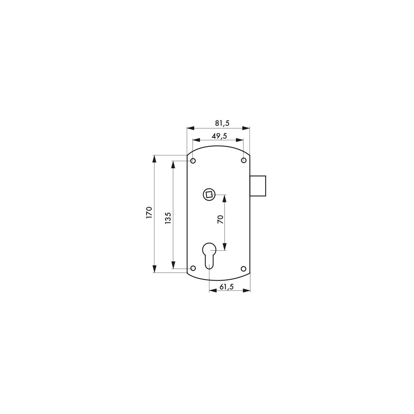 THIRARD - Boitier de serrure en applique double entrée à fouillot pour portail, réversible, axe 61.5mm, 81.5x170mm, noir 1