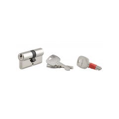 THIRARD - Cylindre de serrure clé modifiable, 30x30mm, anti-arrachement, anti-perçage, nickel, 2x3 clés