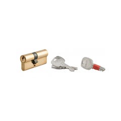 THIRARD - Cylindre de serrure double entrée clé modifiable, 30x40mm, anti-arrachement, anti-perçage, laiton, 2x3 clés