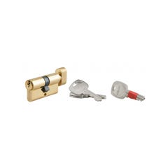 THIRARD - Cylindre de serrure à bouton clé modifiable, 30Bx30mm, anti-arrachement, anti-perçage, laiton, 2x3 clés 0