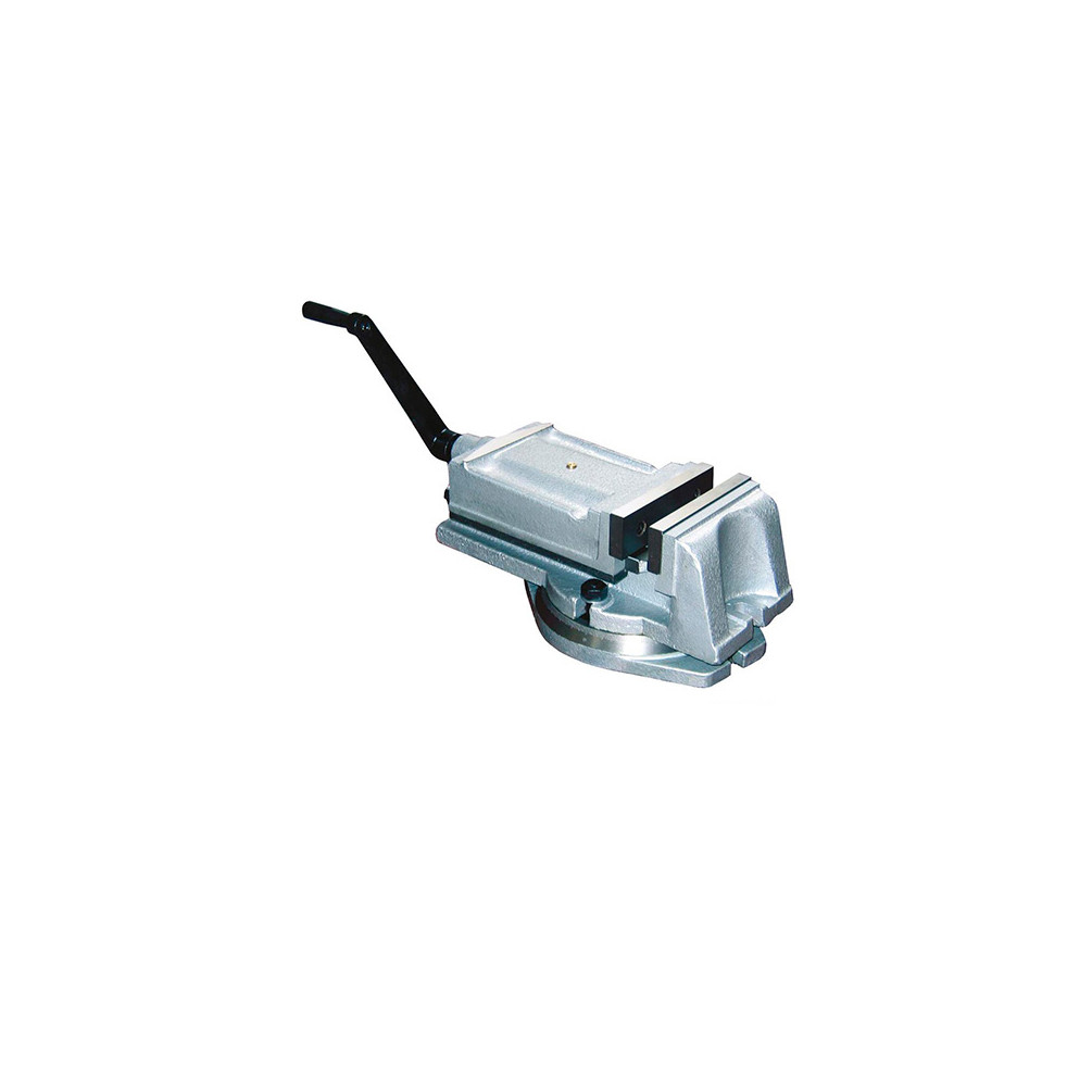 Etau industriel 160 mm avec base tournante - I160 - Holzmann