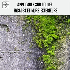 Traitement anti-dépots verts ULTRA CONCENTRÉ pour façades et crépis - 5 L (5 x 1L) - - ARCANE INDUSTRIES 6