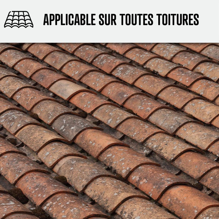 Nettoyant Toiture - Produit nettoyage toiture action rapide - 200 L - - ARCANE INDUSTRIES 5