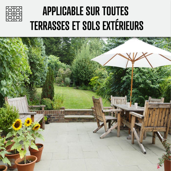 Traitement anti-dépots verts ULTRA CONCENTRÉ pour sol terrasses - 1 L (jusqu'à 250 m²) - - ARCANE INDUSTRIES 5