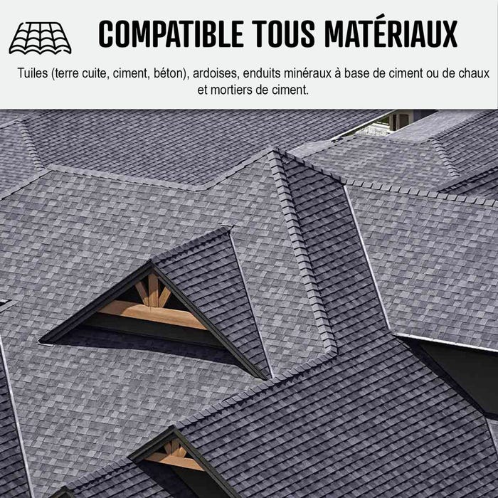 Traitement anti-dépots verts ULTRA CONCENTRÉ pour toitures et tuiles - 1 L (jusqu'à 250 m²) - - ARCANE INDUSTRIES 5