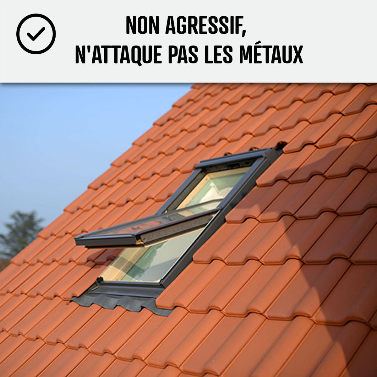 Traitement anti-dépots verts ULTRA CONCENTRÉ pour toitures et tuiles - 1 L (jusqu'à 250 m²) - - ARCANE INDUSTRIES 3