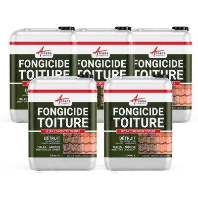 Antimousse Fongicide professionnel tous supports