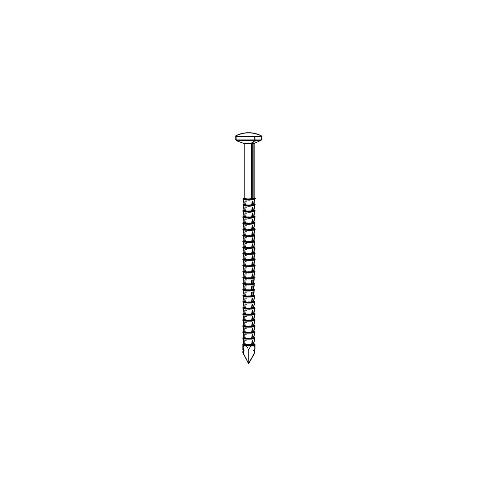 Pointe annelée INOX A4 en vrac tête bombée (TB) 31/34 x 70 mm - 1 kg - TB310709 Alsafix
