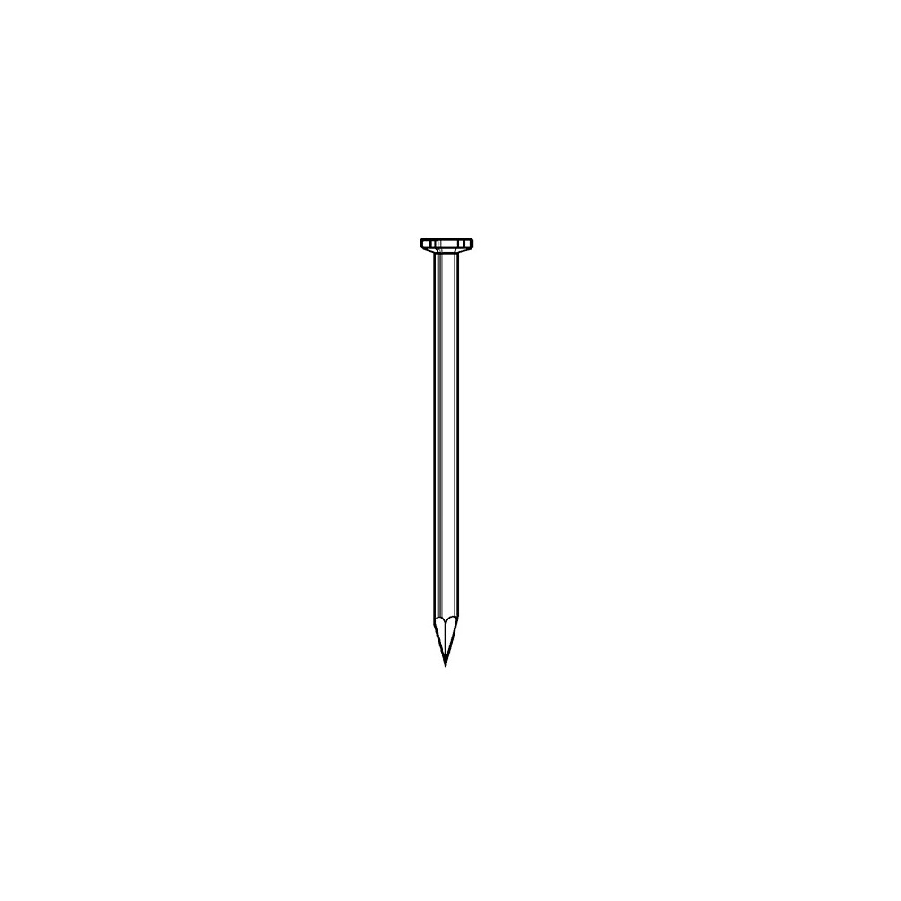 Pointe lisse en vrac tête plate (TP) 5,0 x 55 mm - 5 Kg - TP500551 Alsafix