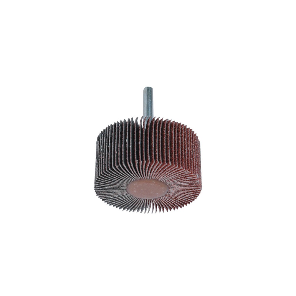 Lot de 10 roues à lamelles corindon pour bois et métal - D. 80 x L. 30 mm Gr. 80 - 9983080 - Leman