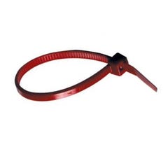 (Boite de 100) Collier de serrage - Couleurs Rouge - Nylon 2,5 x 100 mm 2