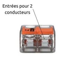 Lot de 40 bornes de raccordement S221 COMPACT - Connexion rapide - 2 conducteurs avec leviers 4mm² - Orange - Wago 2