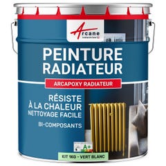 Peinture Radiateur fonte acier alu - PEINTURE RADIATEUR - 1 kg (jusqu'à 5 m² en 2 couches) - Vert Blanc - RAL 6019 - ARCANE INDUSTRIES 0