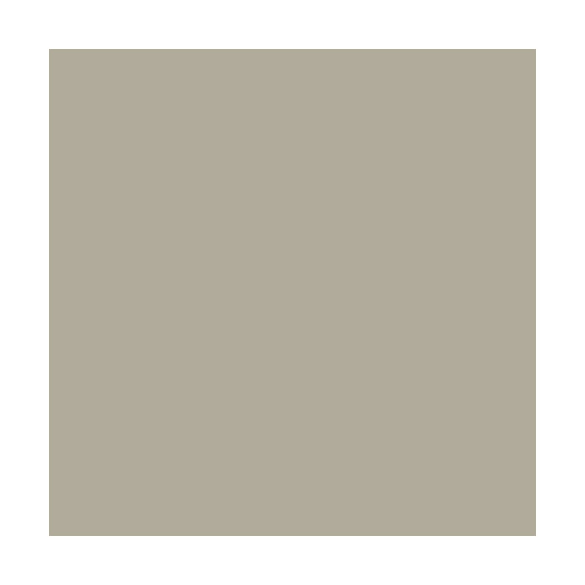PEINTURE ARGILE naturelle et saine - ARGILIS Marmotte Gris Cendre - 30 m² (5 kg en 1 couche)ARCANE INDUSTRIES 3
