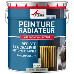 Peinture Radiateur fonte acier alu - PEINTURE RADIATEUR - 1 kg (jusqu'à 5 m² en 2 couches) - Gris Agathe - RAL 7038 - ARCANE INDUSTRIES 6