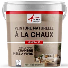 PEINTURE A LA CHAUX NATURELLE ET SAINE - NUANCES MINERALES CHAUX - 15 m² (2.5 kg en 1 couche) - Gingembre Grege - ARCANE INDUSTRIES 0