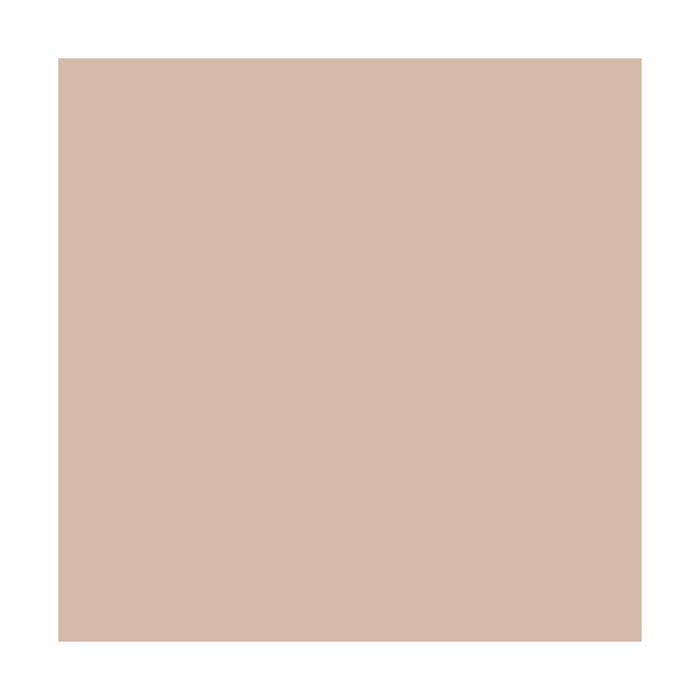 PEINTURE A LA CHAUX NATURELLE ET SAINE - NUANCES MINERALES CHAUX - 60 m² (2x5 kg en 1 couche) - Canelle Rose Orange - ARCANE INDUSTRIES 1