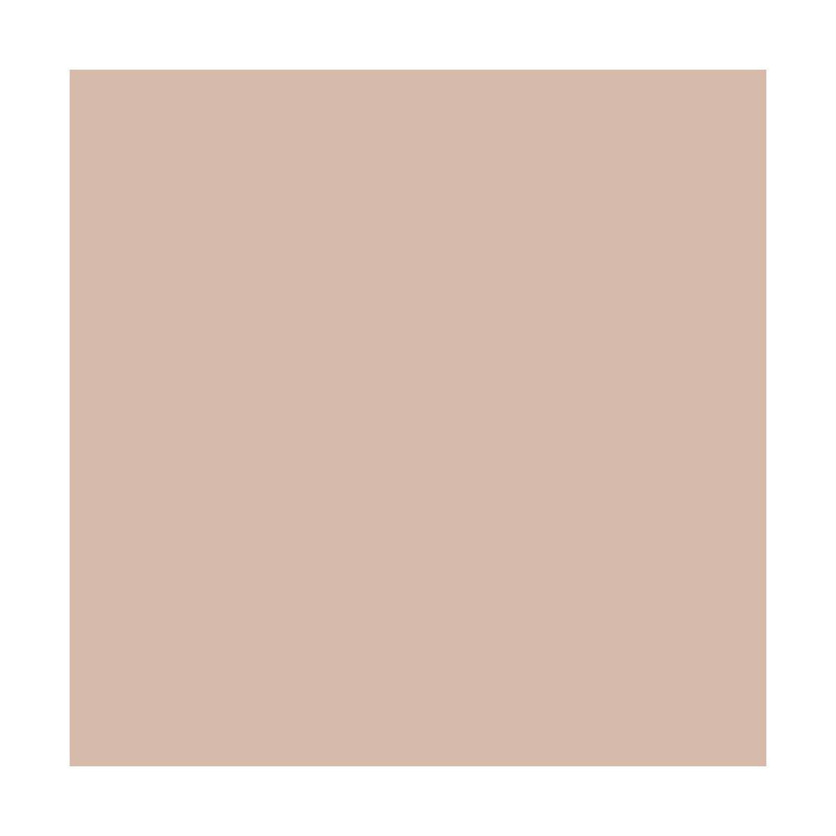 PEINTURE A LA CHAUX NATURELLE ET SAINE - NUANCES MINERALES CHAUX - 30 m² (5 kg en 1 couche) - Canelle Rose Orange - ARCANE INDUSTRIES 1