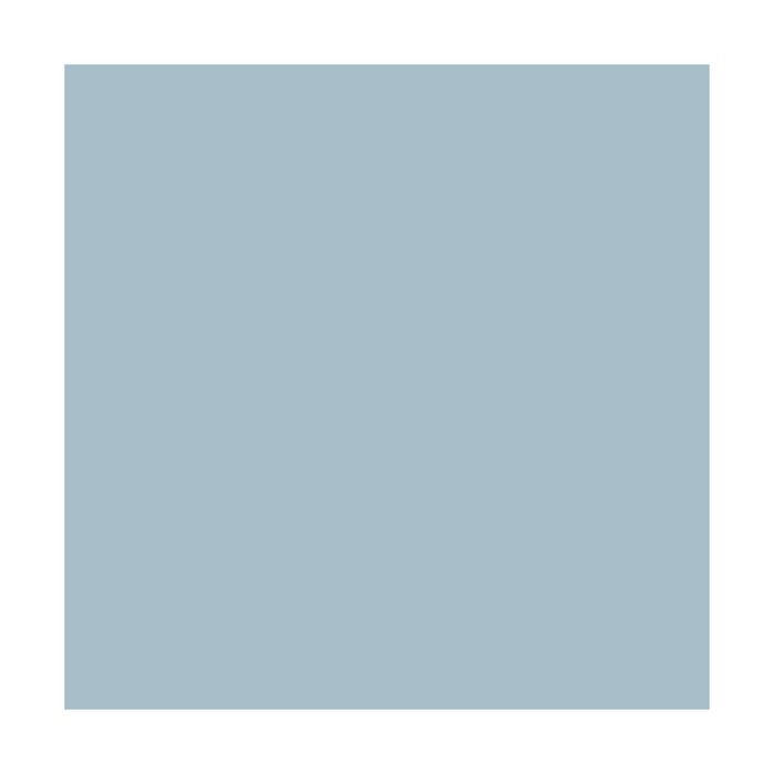 PEINTURE ARGILE naturelle et saine - ARGILIS Ara Bleu - 15 m² (2.5 kg en 1 couche)ARCANE INDUSTRIES 3