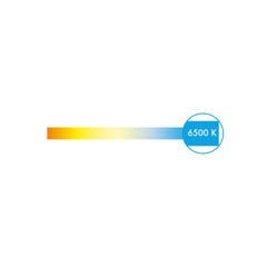 Ampoule LED standard PHILIPS - EyeComfort - 13W - 2000 lumens - 6500K - E27 - 93005 2
