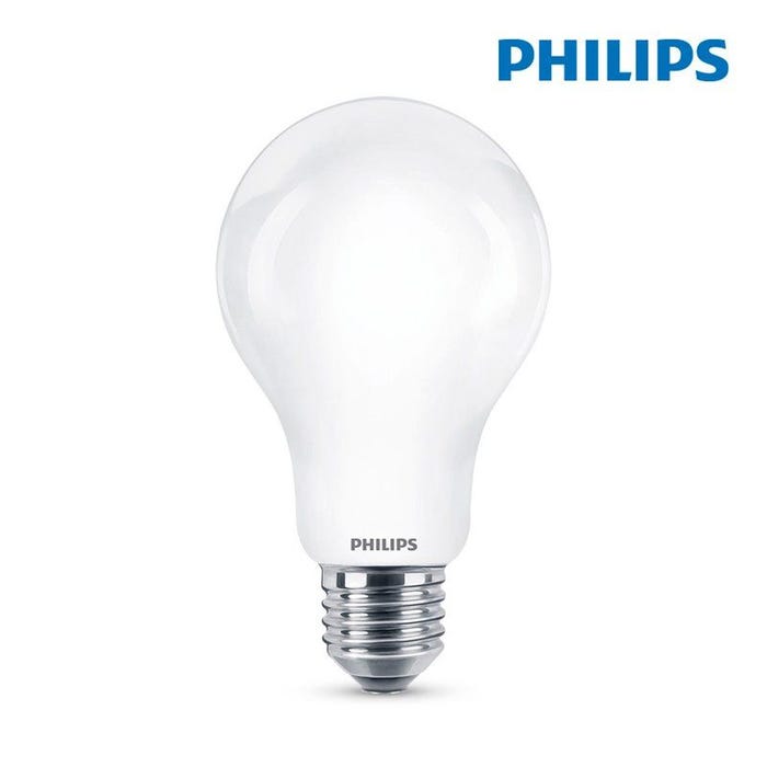 Ampoule LED standard PHILIPS - EyeComfort - 13W - 2000 lumens - 6500K - E27 - 93005 5