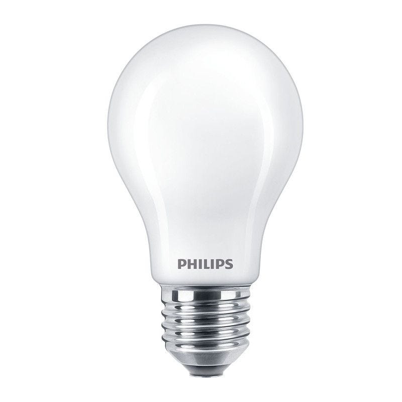 Ampoule LED standard PHILIPS - EyeComfort - 13W - 2000 lumens - 6500K - E27 - 93005 4