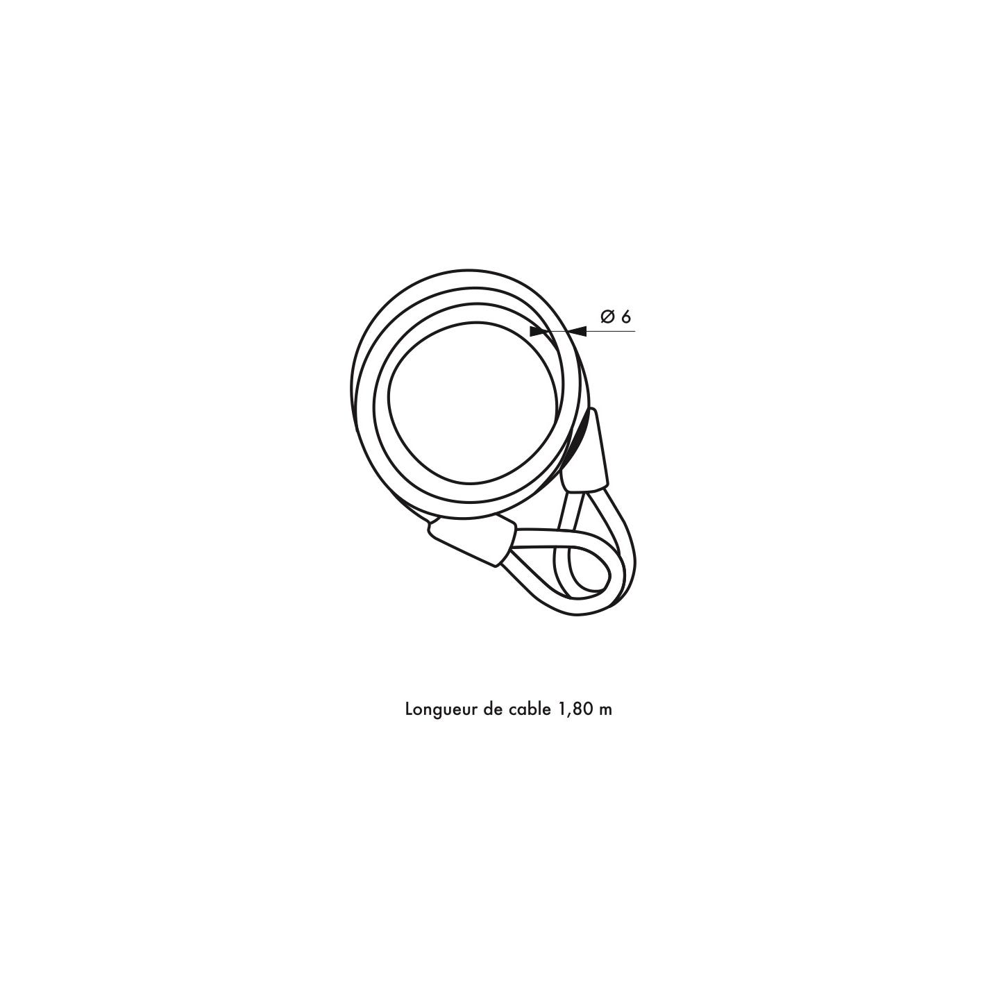 THIRARD - Câble Twisty acier 6mmx1.8m avec cadenas 40mm, vélo, abris de jardi 2 clés, noir 1