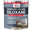 Peinture Facade Siloxane Hydrofuge - ARCAFACADE SILOXANE - 10 L (+ ou - 60 m² en 1 couche) - Ton Sable - RAL 085 90 20