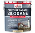 Peinture Facade Siloxane Hydrofuge - ARCAFACADE SILOXANE - 10 L (+ ou - 60 m² en 1 couche) - Jaune Paille - RAL 085 90 30