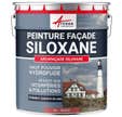 Peinture Facade Siloxane Hydrofuge - ARCAFACADE SILOXANE - 10 L (+ ou - 60 m² en 1 couche) - Rouge - RAL 030 50 40