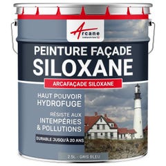 Peinture Facade Siloxane Hydrofuge - ARCAFACADE SILOXANE - 10 L (+ ou - 60 m² en 1 couche) - Rouge - RAL 030 50 40 - ARCANE INDUSTRIES 7