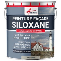 Peinture Facade Siloxane Hydrofuge - ARCAFACADE SILOXANE - 10 L (+ ou - 60 m² en 1 couche) - Beige - RAL 080 80 10 - ARCANE INDUSTRIES 8