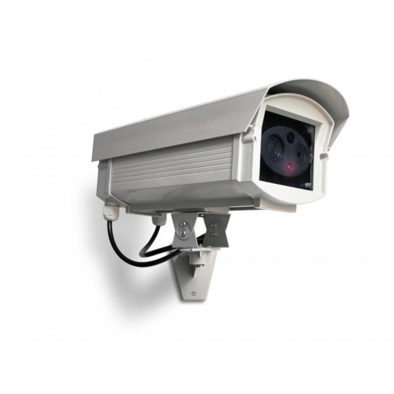 Caméra de surveillance factice design professionnel 0