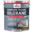 Peinture Facade Siloxane Hydrofuge - ARCAFACADE SILOXANE - 10 L (+ ou - 60 m² en 1 couche) - Gris Clair - RAL 9002