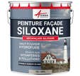 Peinture Facade Siloxane Hydrofuge - Arcafacade Siloxane - Gris (ral 7044) - 10l (+ Ou - 60m² En 1 Couche)