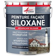 Peinture Facade Siloxane Hydrofuge - ARCAFACADE SILOXANE - 10 L (+ ou - 60 m² en 1 couche) - Gris - RAL 7044 - ARCANE INDUSTRIES