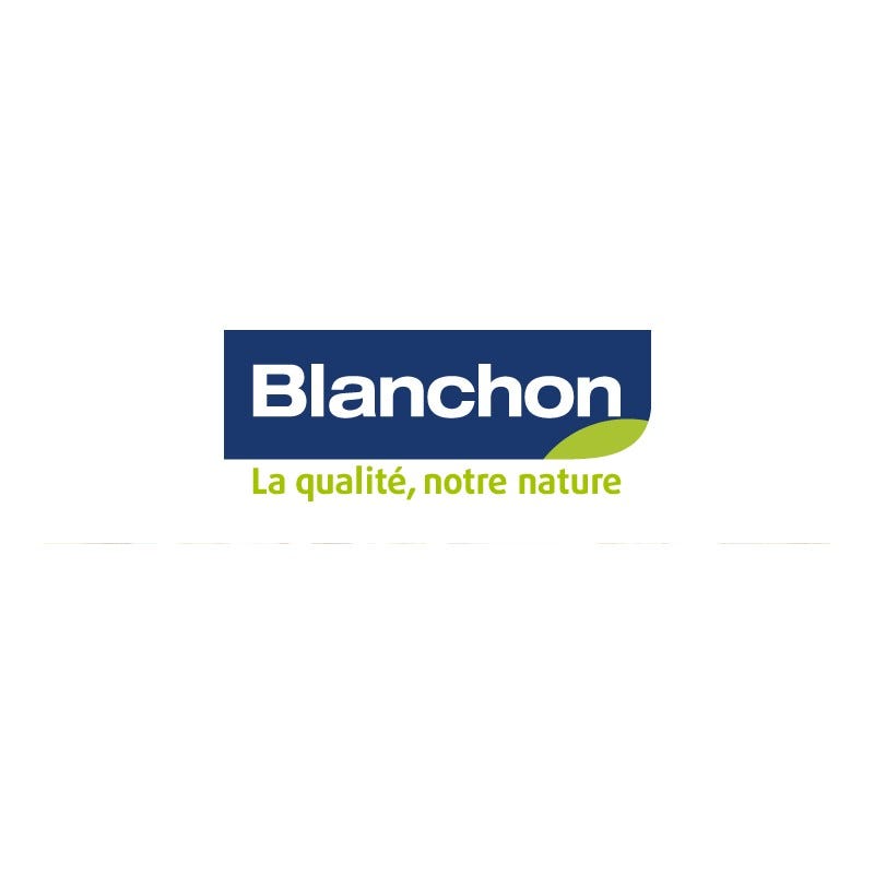 Vitrificateur parquet Blanchon VP 2,5L aspect brillant prêt à l'emploi 1