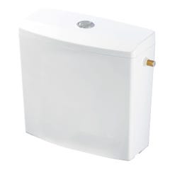 Wirquin 50717359 - Cassetta WC a risparmio idrico, posizione bassa 0