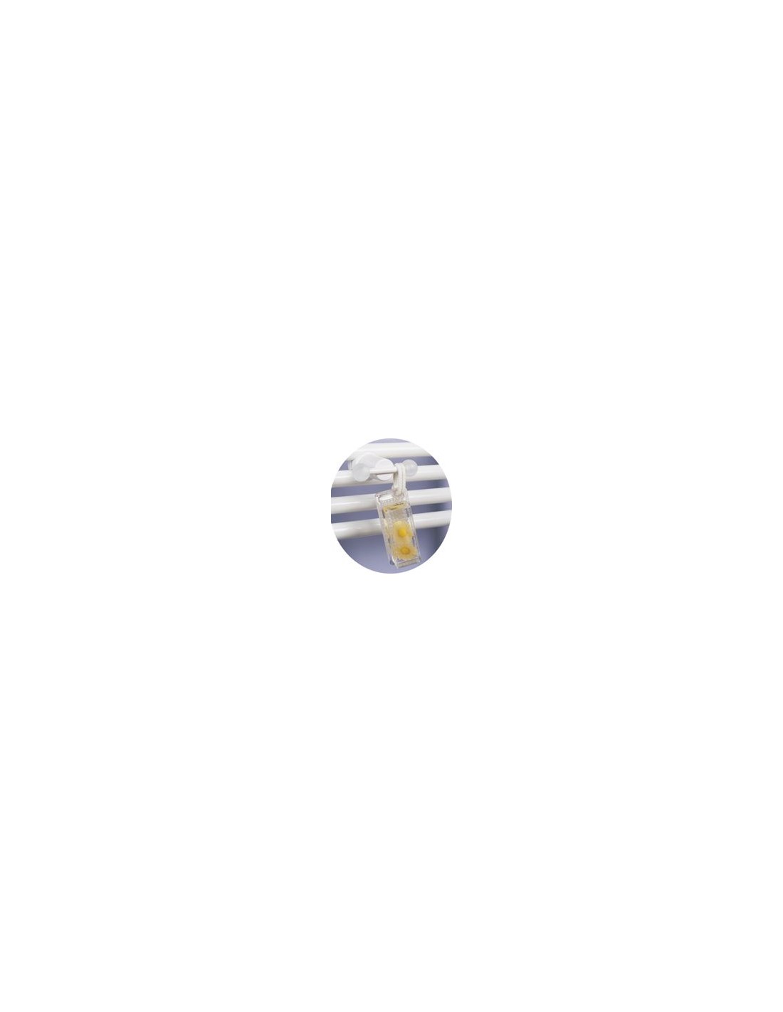 2 Pateres Pour Regate/fassane