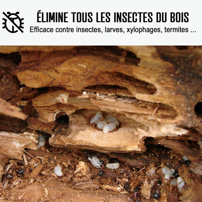Traitement bois extérieur, intérieur pour insectes xylophènes et champignons | ARCAPROTECT BOIS - 5 L - - ARCANE INDUSTRIES 1