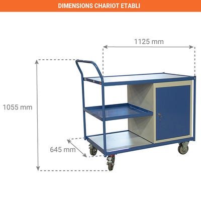 Chariot établi 1 placard - charge max 250 kg - 880006044