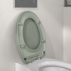 Abattant WC à  fermeture progressive et déclipsable BOREO vers de gris 2