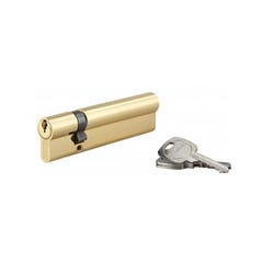 Cylindre de Serrure 30 x 90 mm 3 clés 16365 Thirard