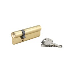 Cylindre de Serrure 30 x 70 mm 3 clés 16363 Thirard