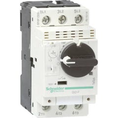 Schneider Electric GV2P04 Disjoncteur de protection moteur 1 pc(s) 0