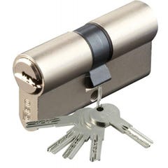Cylindre type ISR6 sur numéro suivi AGL 697 laiton nickelé 3 clés 30 x 45 mm
