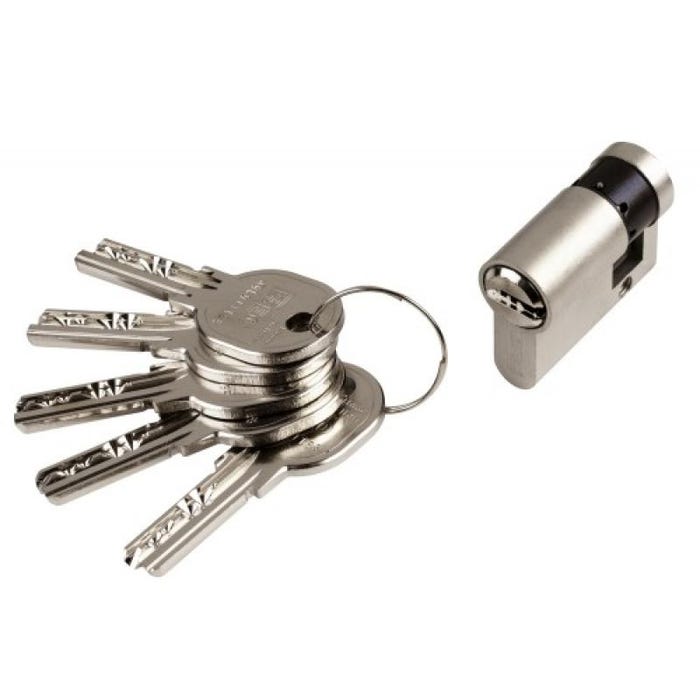 Cylindre simple ISR 6 laiton nickelé 5 clés sur N° AGL 697 30 x 10 0